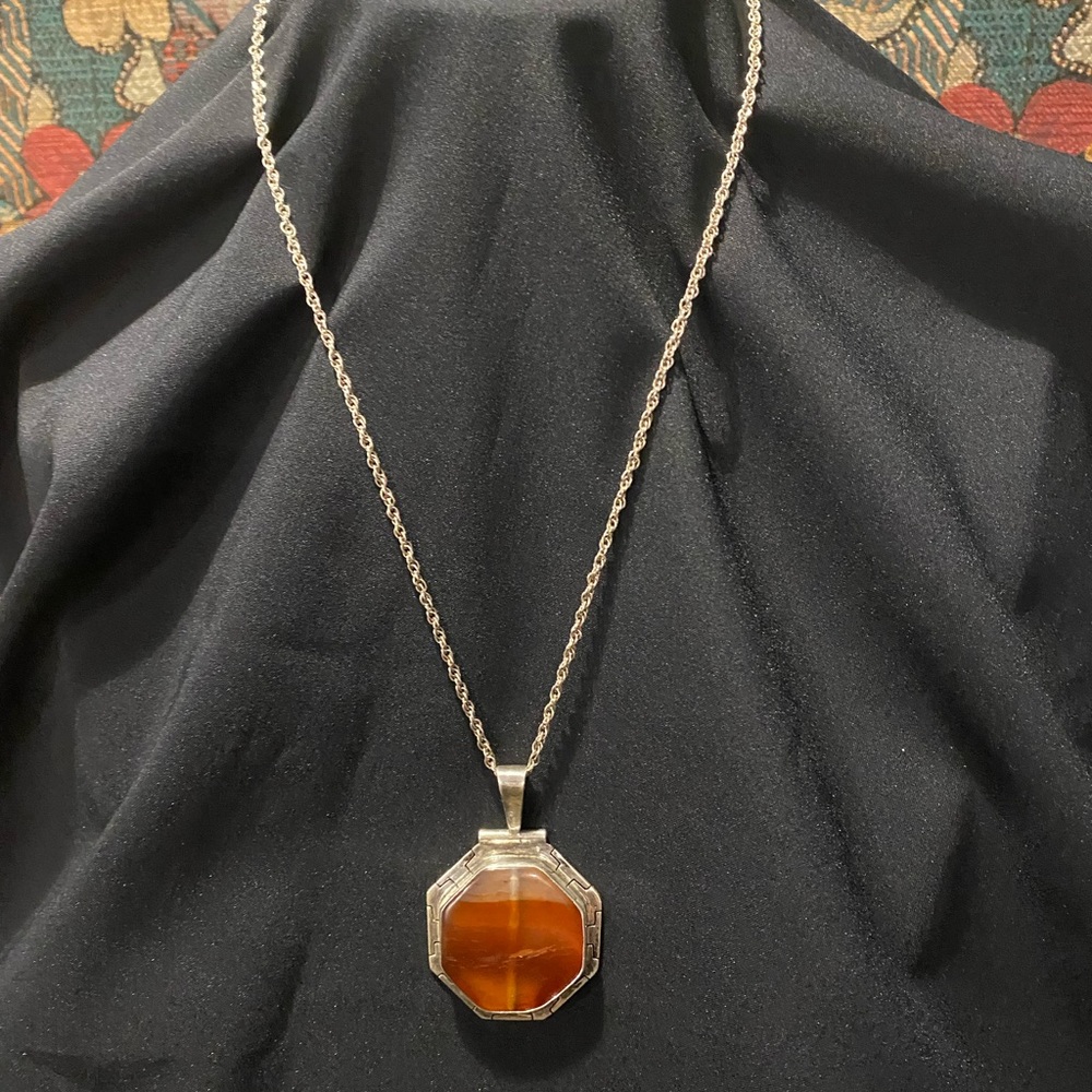 Rare Fossilized Amber Sterling Pendant with 20” Sterling Chain - Unique - Picture 2 of 10